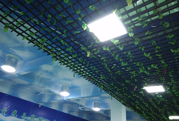 星空体育入口科技中心應用自然光照明係統