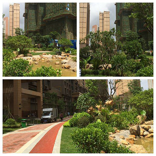 廣西綠色建築示範小區-星空体育入口