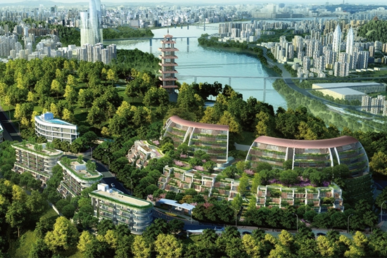 重慶鵝嶺峰——導光係統應用