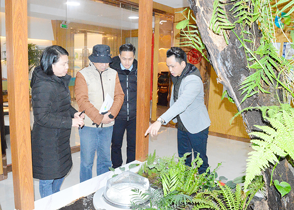 雙模式無電照明係統